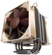 Noctua