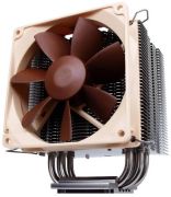 Noctua