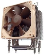 Noctua