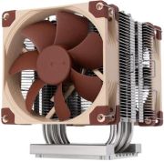 Noctua