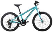 Orbea MX20 Dirt