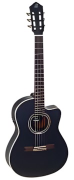 Ortega