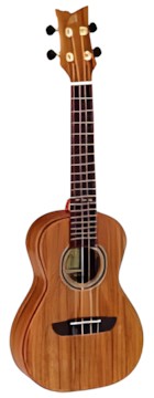 Ortega