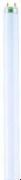 Osram Fluora T8 L 18 W/77 FLH1 G13 Osram Fluora T8 L 18 W/77 FLH1 G13