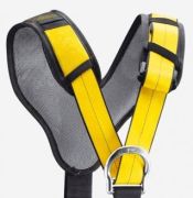 Petzl