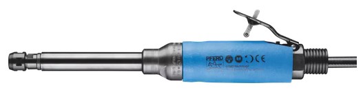 Pferd