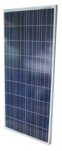 Phaesun Sun Plus 165 P Solarmodul (310388)