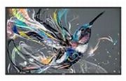 Philips 55BDL3511Q