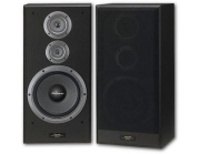 Pioneer