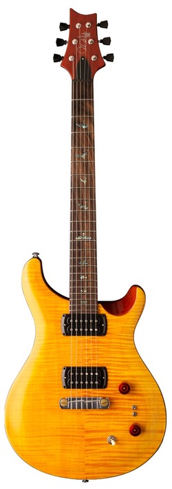 PRS SE Paul's Guitar