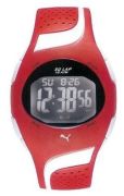 Puma Energy 43A