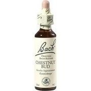 Nelsons BACHBLUETEN CHESTNUT BUD TROPFEN 20 ML Nelsons BACHBLUETEN CHESTNUT BUD TROPFEN 20 ML