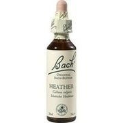 Nelsons BACHBLUETEN HEATHER TROPFEN 20 ML Nelsons BACHBLUETEN HEATHER TROPFEN 20 ML