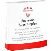 EUPHRASIA AUGENTROPFEN, 5 x 0,5 ml