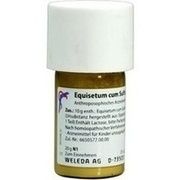 Weleda EQUISETUM CUM SULF. TOST. D 6 TRIT., 20 g Weleda EQUISETUM CUM SULF. TOST. D 6 TRIT., 20 g