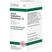 DHU-Arzneimittel ARUM TRIPHYLLUM PENTARKAN H DILUTION, 50 ml DHU-Arzneimittel ARUM TRIPHYLLUM PENTARKAN H DILUTION, 50 ml