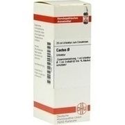 CACTUS URTINKTUR, 20 ml