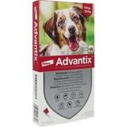 Elanco Advantix Spot on Hunde 10-25 kg 4 Stk.