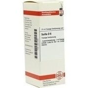 SCILLA D 6 DILUTION, 20 ml