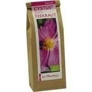 CYSTUS BIO TEEKRAUT DR. PANDALIS, 50 g