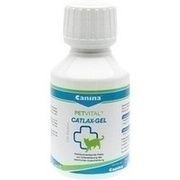 PETVITAL