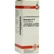 MANDRAGORA D 12 DIL., 20 ml