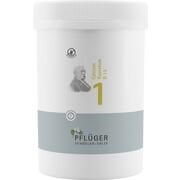 Pflüger
