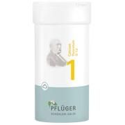 Pflüger BIOCHEMIE PFLUEGER 1 CALCIUM FLUOR.D 12 PULVER Pflüger BIOCHEMIE PFLUEGER 1 CALCIUM FLUOR.D 12 PULVER