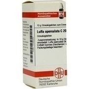 LUFFA OPERCULATA C 200 GLOBULI, 10 g