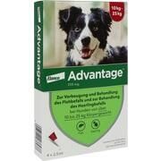 Elanco Advantage 250 Spot on Hund 4 Stk. Elanco Advantage 250 Spot on Hund 4 Stk.