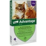 Elanco Advantage 80 Spot on Katze 4 Stk.