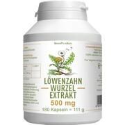 SinoPlaSan Löwenzahnwurzel-Extrakt 500 mg Kapseln 180 Stk. SinoPlaSan Löwenzahnwurzel-Extrakt 500 mg Kapseln 180 Stk.