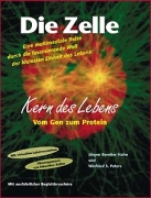 Quelle