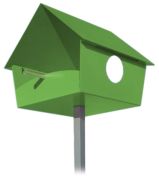 Radius Design Piep Show XXL (529D)
