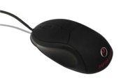 Raptor