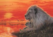 Ravensburger