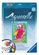 Ravensburger