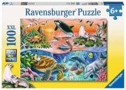 Ravensburger