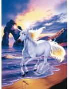 Ravensburger