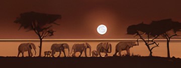 Ravensburger