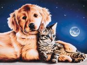 Ravensburger