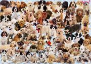 Ravensburger