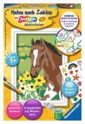 Ravensburger