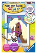 Ravensburger