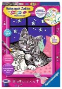 Ravensburger