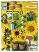 Ravensburger
