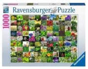 Ravensburger