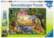 Ravensburger