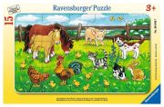Ravensburger