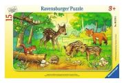 Ravensburger